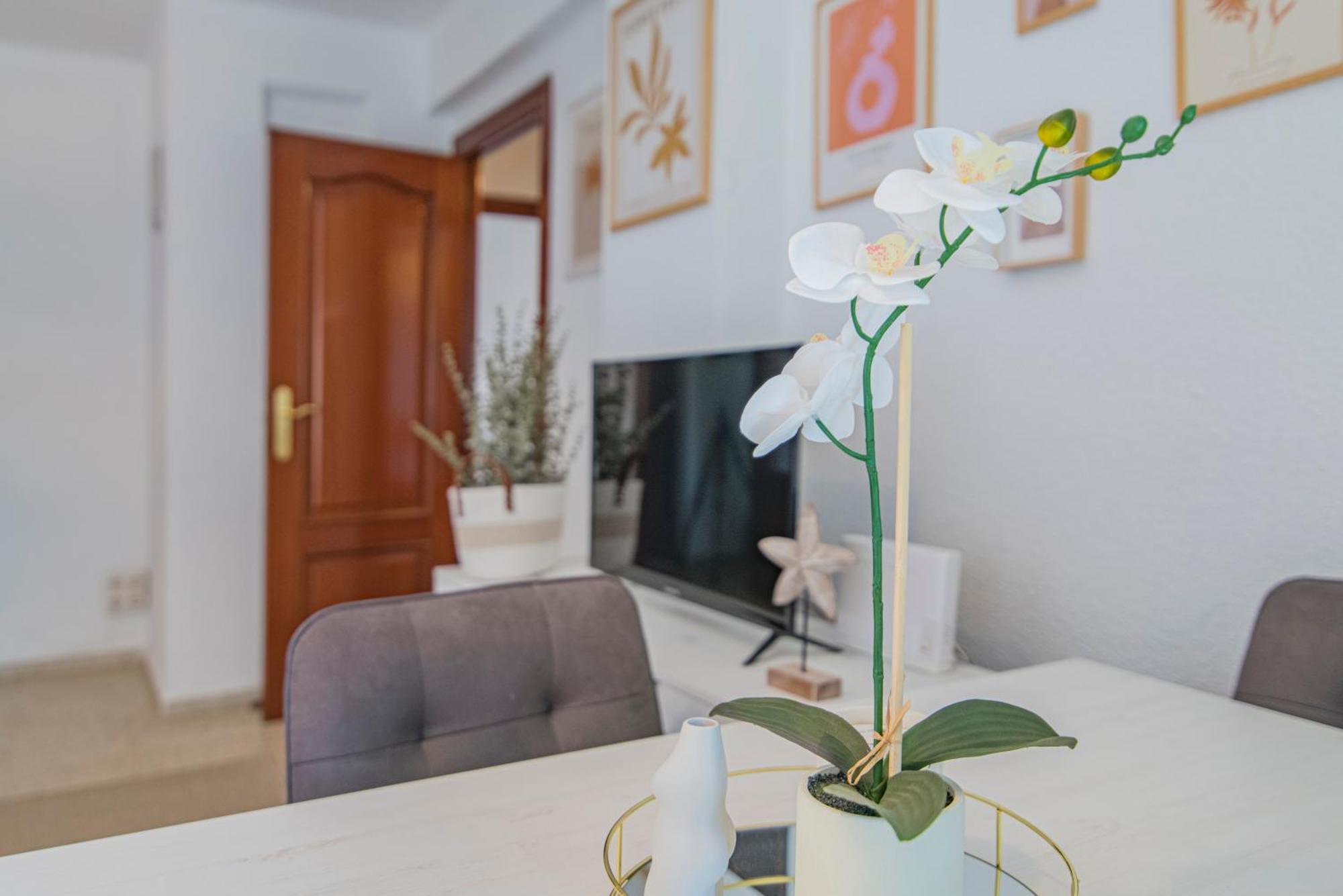 Delfin Retreat Con Terraza Junto A Parada De Metro Γρανάδα Εξωτερικό φωτογραφία